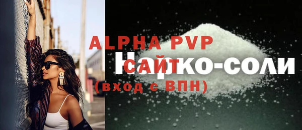 прущие грибы Горно-Алтайск