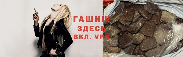 прущие грибы Горно-Алтайск