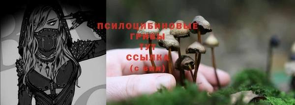 герыч Покачи