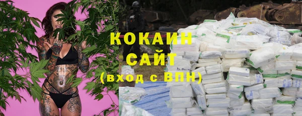 прущие грибы Горно-Алтайск