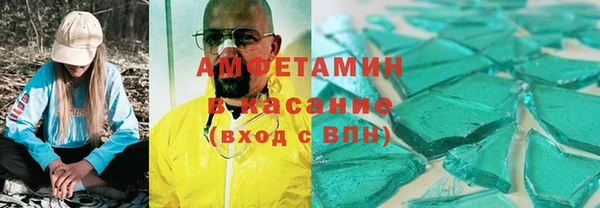 прущие грибы Горно-Алтайск