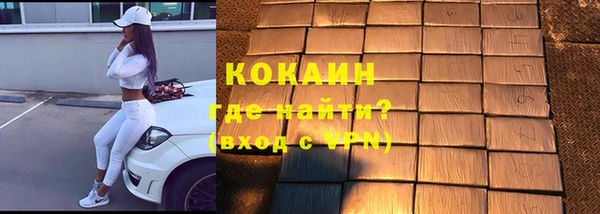 прущие грибы Горно-Алтайск